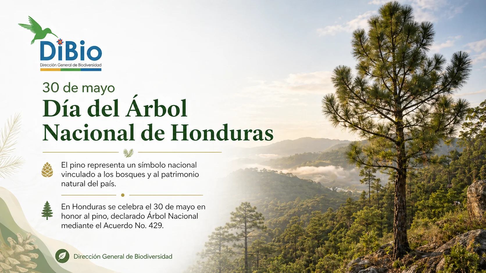 Día del Árbol Nacional de Honduras